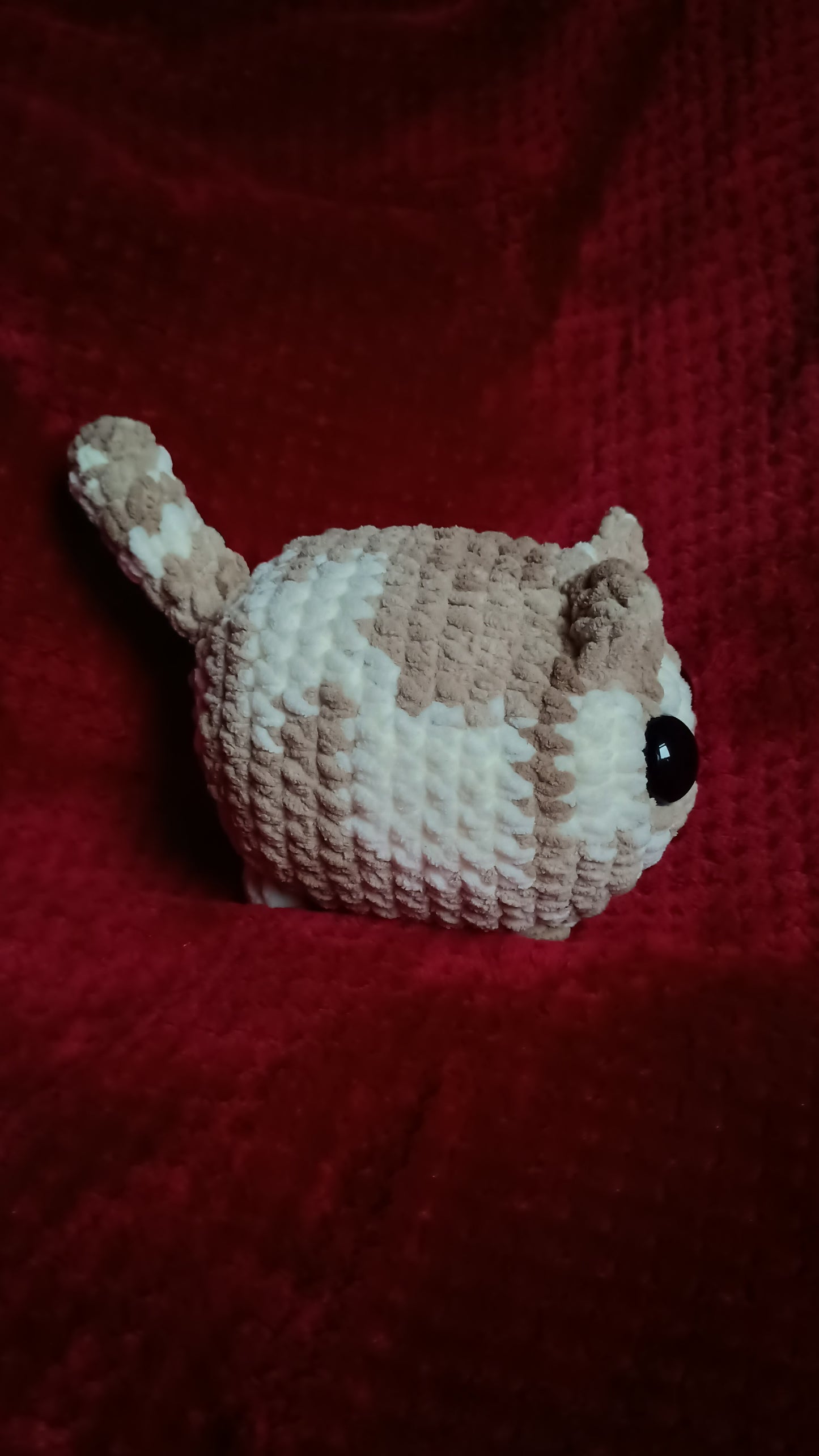 White and Beige Loaf Cat