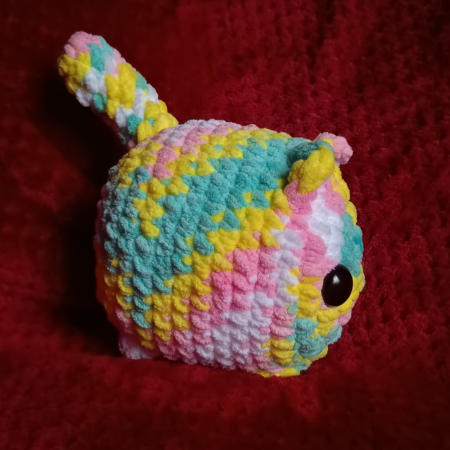 Tie Dye Loaf Cat