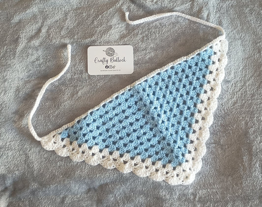 L - Baby blue bandana with white boarder