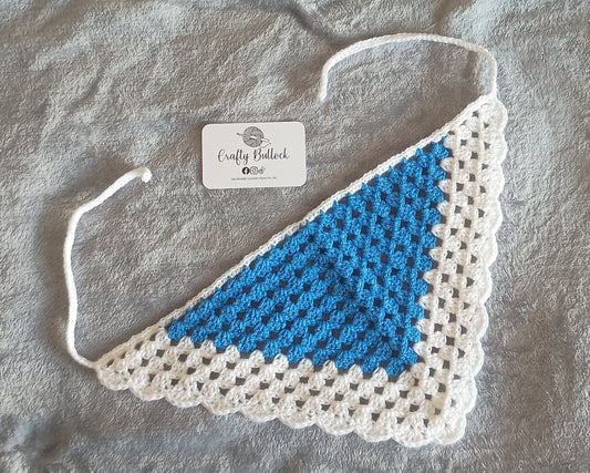 L - Blue bandana with white boarder