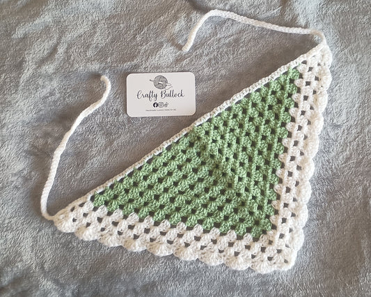 L - Sage green bandana with white boarder