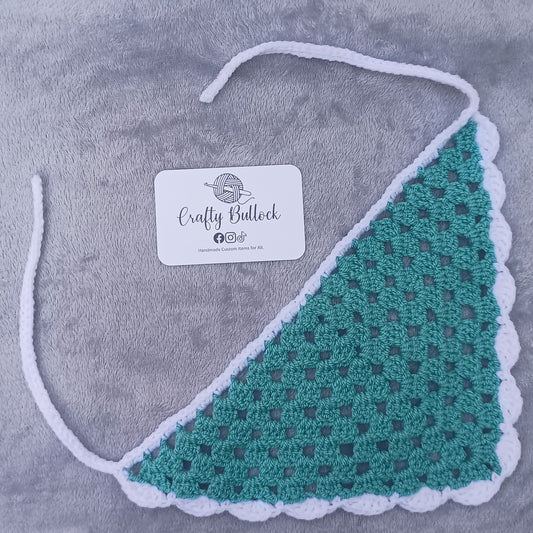 S - Teal and white bandana